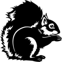 Squirrel Vinyl Decal Sticker V37 - DecalsHouse