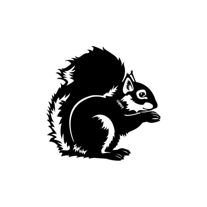 Squirrel Vinyl Decal Sticker V37 - DecalsHouse
