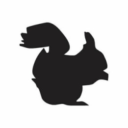 Squirrel Vinyl Decal Sticker V38 - DecalsHouse
