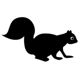 Squirrel Vinyl Decal Sticker V41 - DecalsHouse