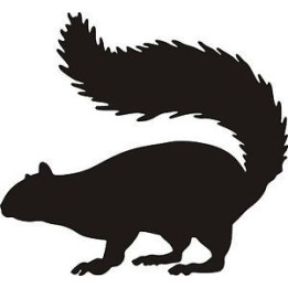 Squirrel Vinyl Decal Sticker V43 - DecalsHouse