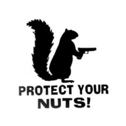 Squirrel Vinyl Decal Sticker V44 - DecalsHouse