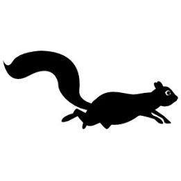 Squirrel Vinyl Decal Sticker V45 - DecalsHouse