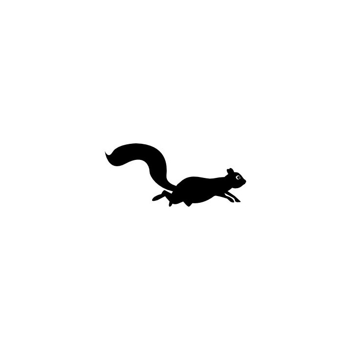 Squirrel Vinyl Decal Sticker V45 - DecalsHouse