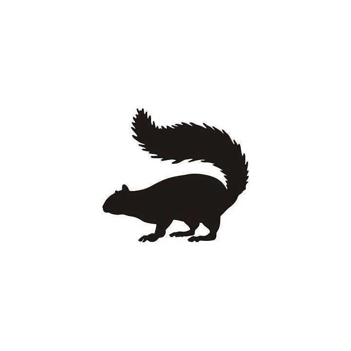 Squirrel Vinyl Decal Sticker V46 - DecalsHouse