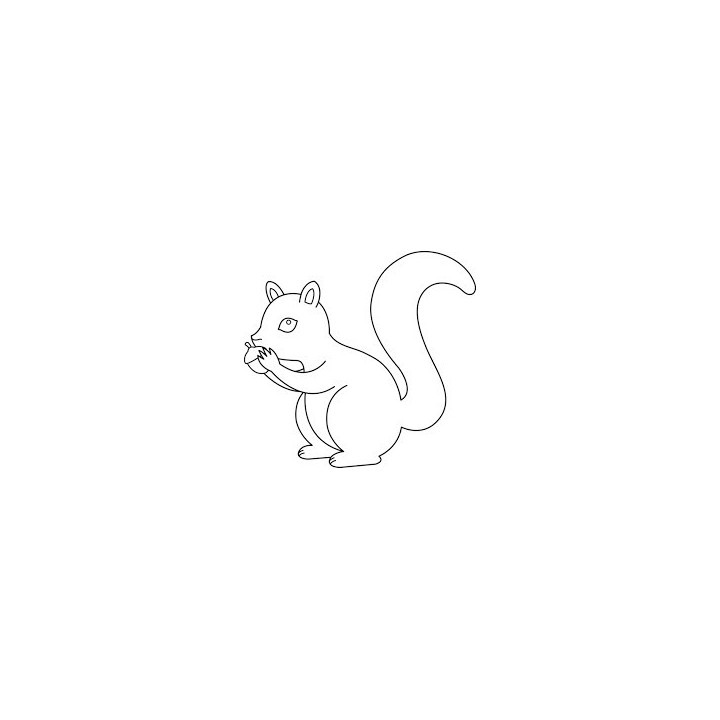 Squirrel Vinyl Decal Sticker V47 - DecalsHouse