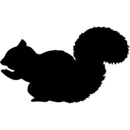 Squirrel Vinyl Decal Sticker V48 - DecalsHouse