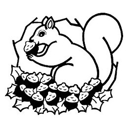 Squirrel Vinyl Decal Sticker V49 - DecalsHouse