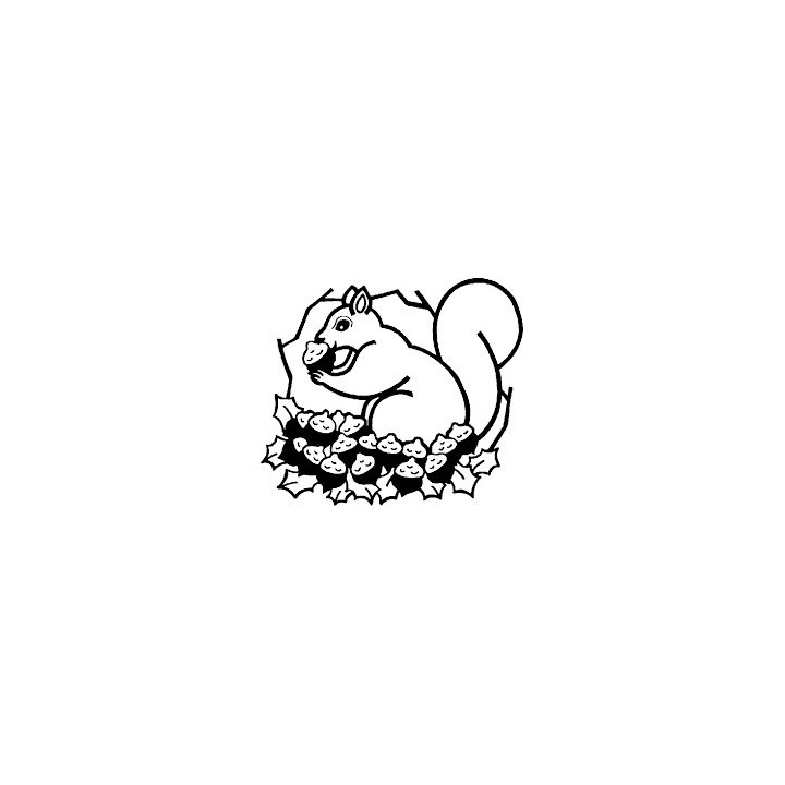 Squirrel Vinyl Decal Sticker V49 - DecalsHouse