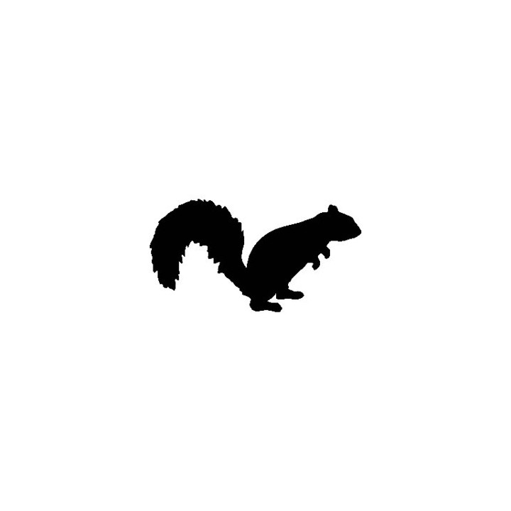 Squirrel Vinyl Decal Sticker V5 - DecalsHouse