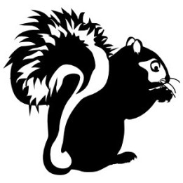 Squirrel Vinyl Decal Sticker V50 - DecalsHouse
