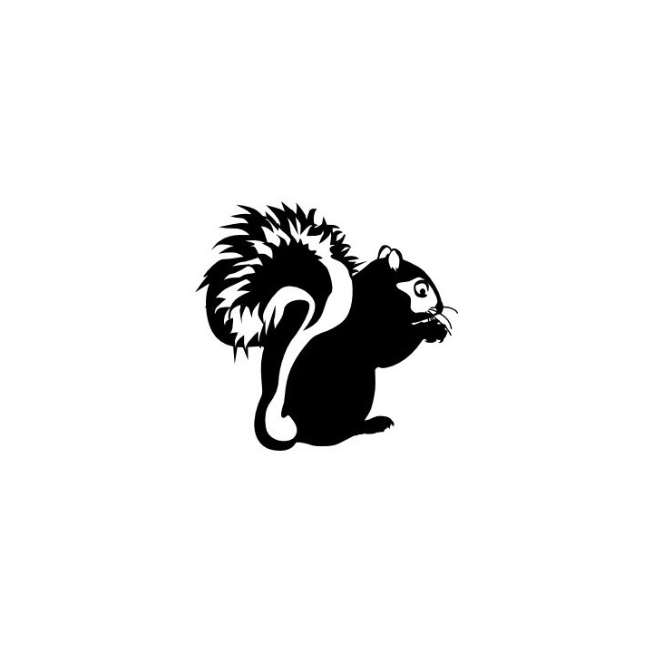 Squirrel Vinyl Decal Sticker V50 - DecalsHouse