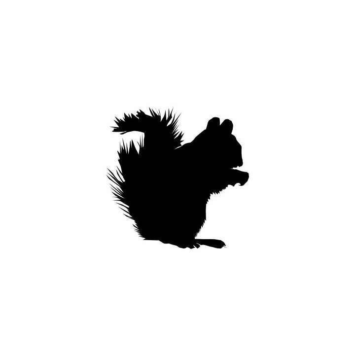 Squirrel Vinyl Decal Sticker V51 - DecalsHouse