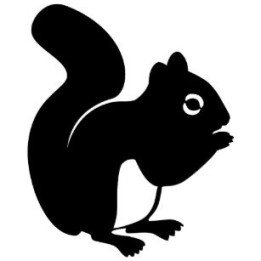 Squirrel Vinyl Decal Sticker V53 - DecalsHouse