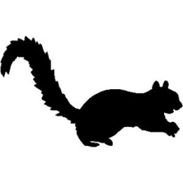 Squirrel Vinyl Decal Sticker V6 - DecalsHouse