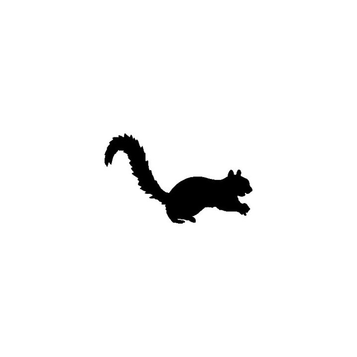 Squirrel Vinyl Decal Sticker V6 - DecalsHouse
