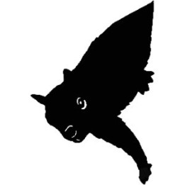 Squirrel Vinyl Decal Sticker V8 - DecalsHouse