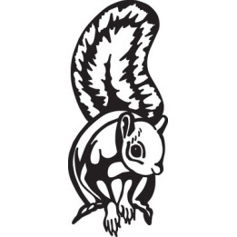 Squirrel Vinyl Decal Sticker V9 - DecalsHouse