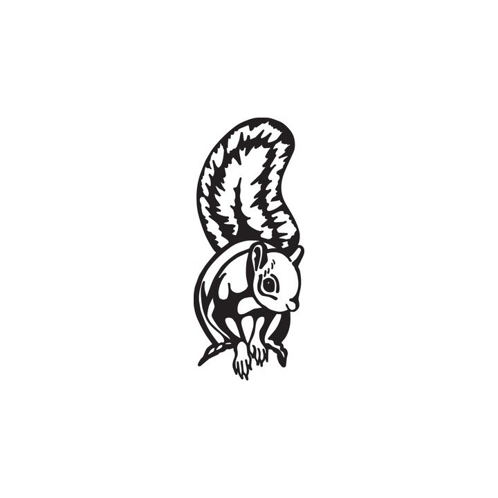 Squirrel Vinyl Decal Sticker V9 - DecalsHouse