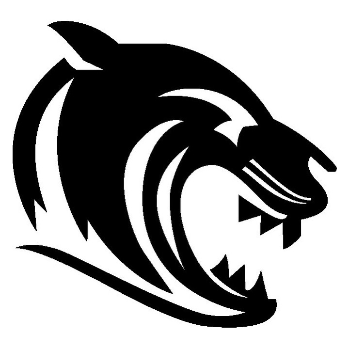 Tiger Vinyl Decal Sticker V16 - DecalsHouse