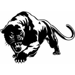 Tiger Vinyl Decal Sticker V24 - DecalsHouse