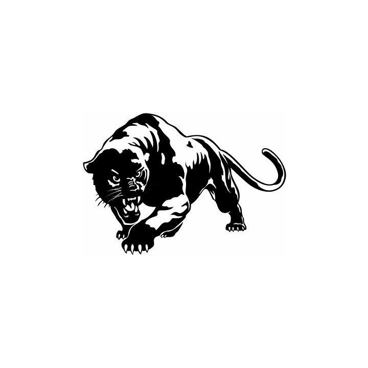 Tiger Vinyl Decal Sticker V45 - DecalsHouse