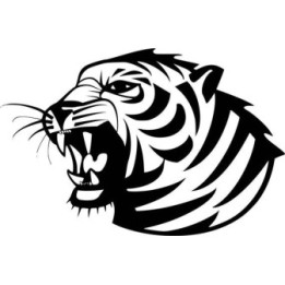 Tiger Vinyl Decal Sticker V52 - DecalsHouse