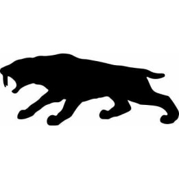 Tiger Vinyl Decal Sticker V69 - DecalsHouse