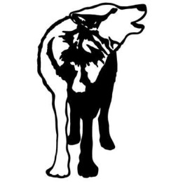 Wild Wolf Vinyl Decal Sticker V12 - DecalsHouse