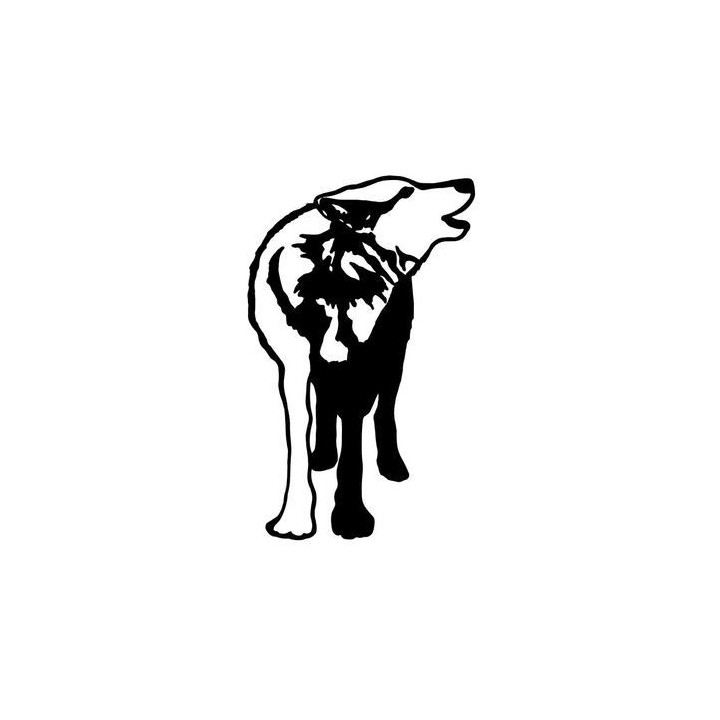 Wild Wolf Vinyl Decal Sticker V12 - DecalsHouse