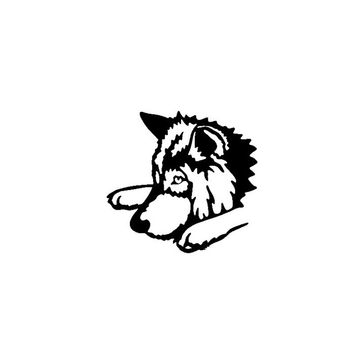 Wild Wolf Vinyl Decal Sticker V14 - DecalsHouse