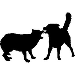 Wild Wolf Vinyl Decal Sticker V15 - DecalsHouse