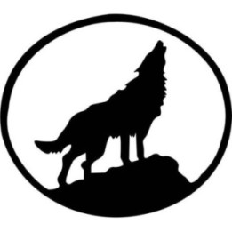 Wild Wolf Vinyl Decal Sticker V23 - DecalsHouse
