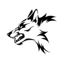 Wild Wolf Vinyl Decal Sticker V24 - DecalsHouse