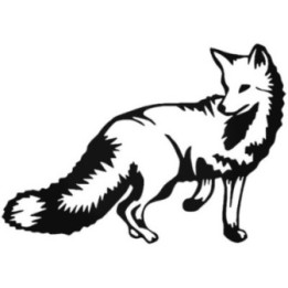Wild Wolf Vinyl Decal Sticker V50 - DecalsHouse