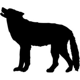 Wild Wolf Vinyl Decal Sticker V7 - DecalsHouse