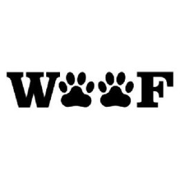 Wild Wolf Vinyl Decal Sticker V75 - DecalsHouse