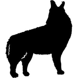 Wild Wolf Vinyl Decal Sticker V8 - DecalsHouse