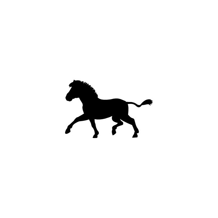 Zebra Vinyl Decal Sticker V18 - DecalsHouse