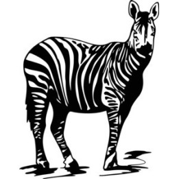 Zebra Vinyl Decal Sticker - DecalsHouse