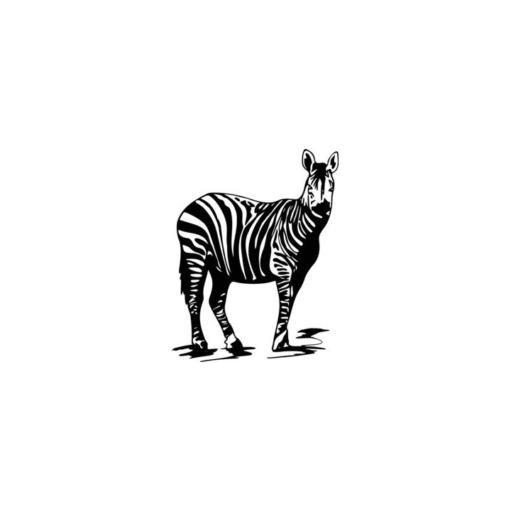 Zebra Vinyl Decal Sticker - DecalsHouse