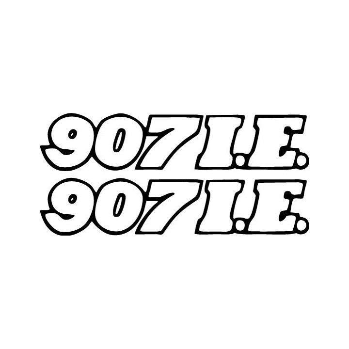 Ducati 907 Vinyl Decal Sticker Dh - DecalsHouse