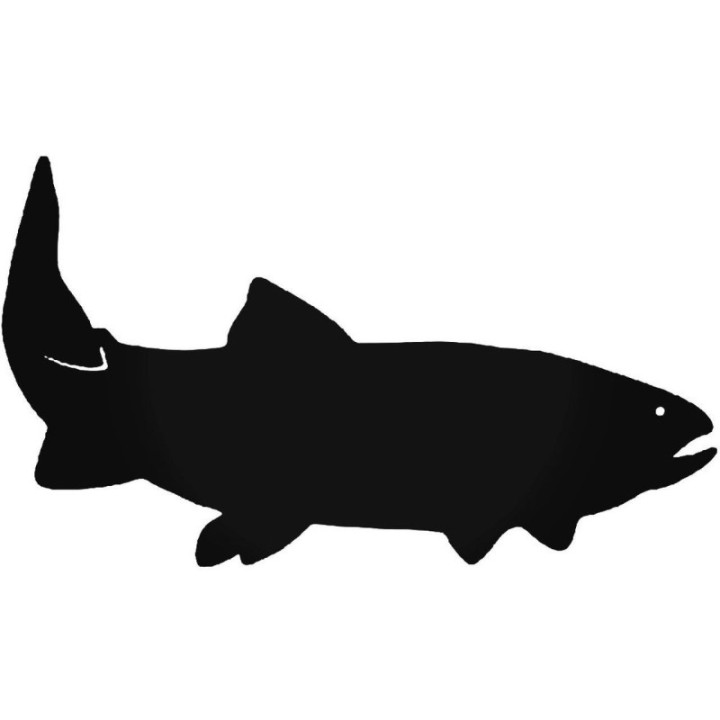Rainbow Trout Vinyl Decal Sticker V11 - DecalsHouse