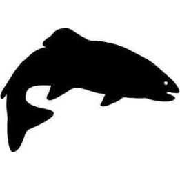 Rainbow Trout Vinyl Decal Sticker V3 - DecalsHouse