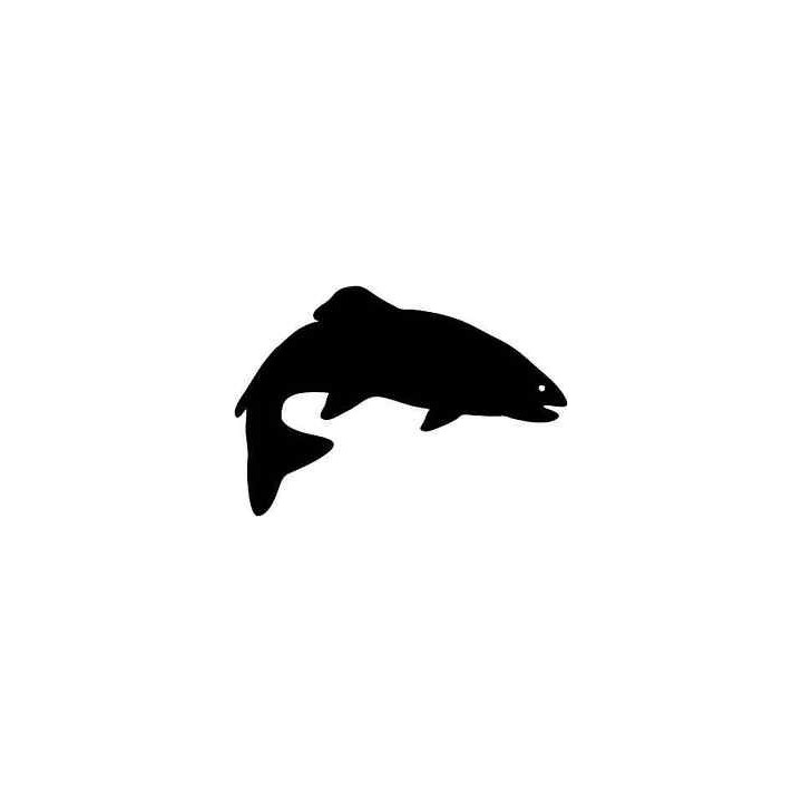 Rainbow Trout Vinyl Decal Sticker V3 - DecalsHouse