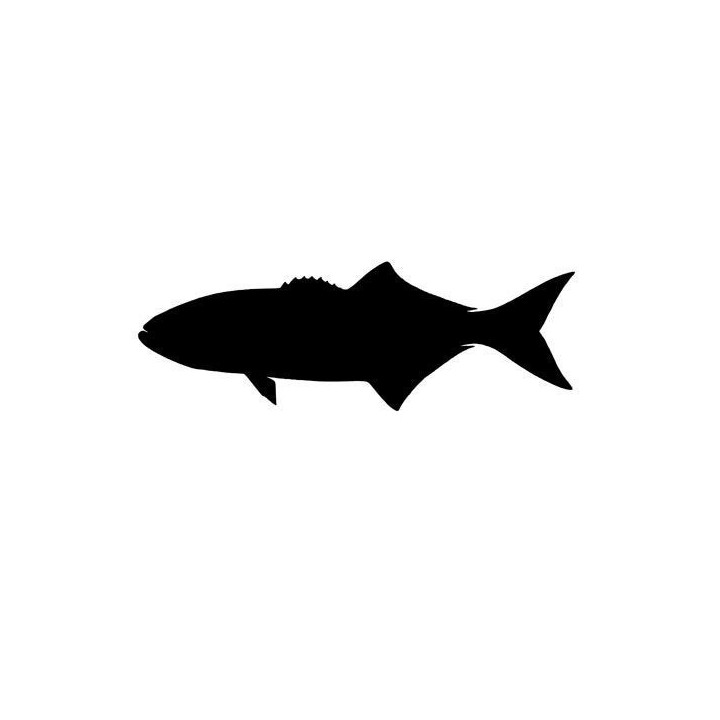 Red Snapper Vinyl Decal Sticker V5 - DecalsHouse