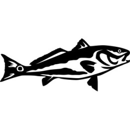 Redfish Vinyl Decal Sticker V12 - DecalsHouse