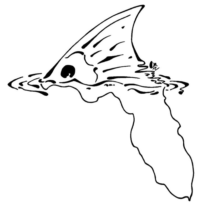 Redfish Vinyl Decal Sticker V2 - DecalsHouse