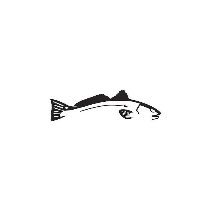Redfish Vinyl Decal Sticker V5 - DecalsHouse