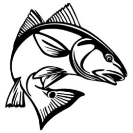 Redfish Vinyl Decal Sticker V9 - DecalsHouse